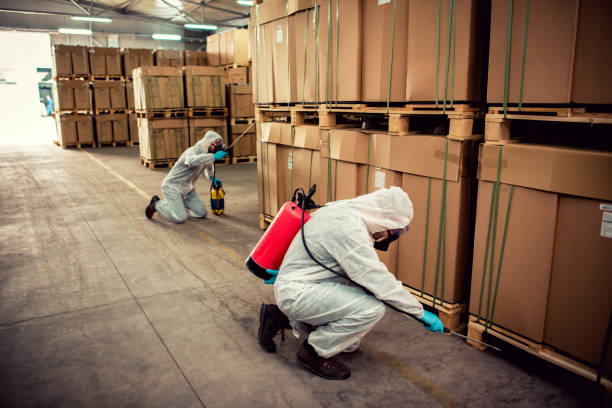 Best Emergency Pest Control  in South Corning, NY