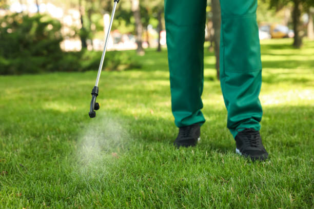 Bird Control in South Corning, NY
