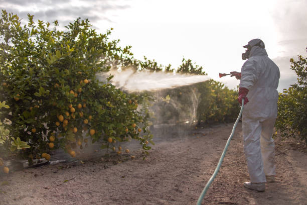 Best Pest Control for Restaurants  in South Corning, NY