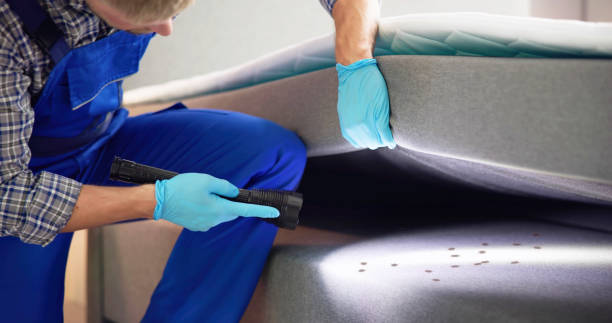 Pest Control for Restaurants in South Corning, NY