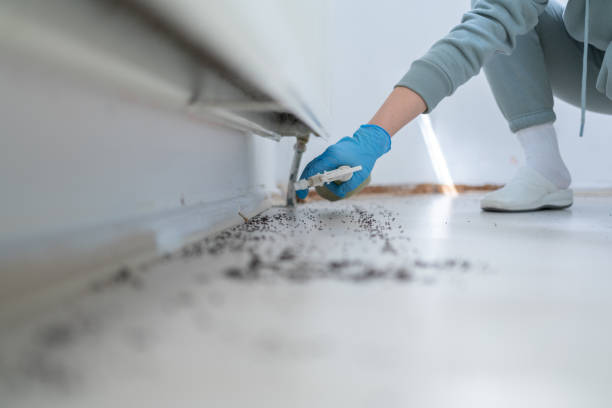 Best Commercial Pest Control Services  in South Corning, NY