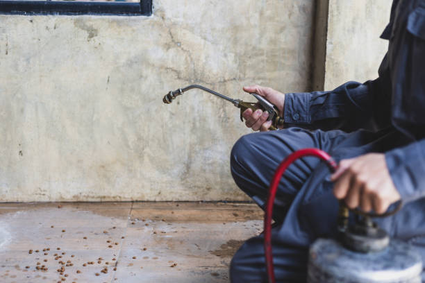Best Pest Prevention Services  in South Corning, NY