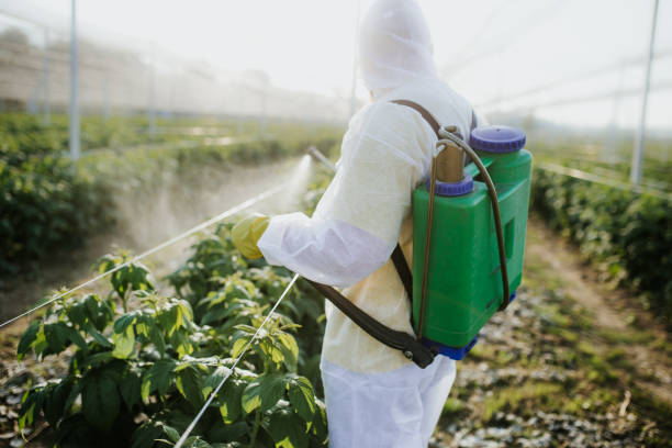 Best Insect Control  in South Corning, NY